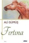 Ali Gümüs - Firtina