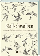 Ulrike Siegel, Thoma Richter, Thomas Richter - Stallschwalben