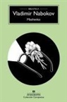 Vladimir Nabokov - Mashenka