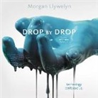 Morgan Llywelyn - Drop by Drop (Audio book)