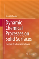 Ken-ichi Tanaka - Dynamic Chemical Processes on Solid Surfaces