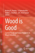 A. N. Arun Kumar, A.N. Arun Kumar, Shakti S. Chauhan, Krishna K. Pandey, Ramakantha, V Ramakantha... - Wood is Good