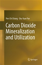 Pen-Ch Chiang, Pen-Chi Chiang, Shu-Yuan Pan - Carbon Dioxide Mineralization and Utilization