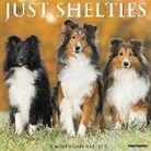 Willow Creek Press - Just Shelties 2019 Wall Calendar (Dog Breed Calendar)