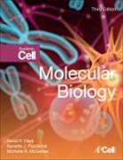 David Clark, David P. Clark, David P. (Southern Illinois University Clark, David P. (Southern Illinois University) Clark, Clark David P., Michelle McGehee... - Molecular Biology