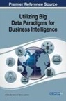 J¿me Darmont, Jérôme Darmont, Jerome (Universite Lumiere Lyon 2 France) Darmont, Sabine Loudcher, Sabine (Universite Lumiere Lyon 2 France) Loudcher - Utilizing Big Data Paradigms for Business Intelligence
