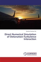 Monika Chauhan Rai - Direct Numerical Simulation of Detonation-Turbulence Interaction