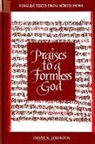 David N Lorenzen, David N. Lorenzen - Praises to a Formless God