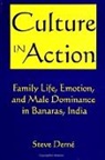 Steve Derne - Culture in Action