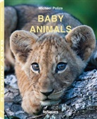 Michael Poliza - BABY ANIMALS