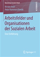 Kirste Aner, Kirsten Aner, Peter Hammerschmidt - Arbeitsfelder und Organisationen der Sozialen Arbeit