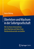 Dieter Bölzing - Überleben und Wachsen in der Sofortgesellschaft