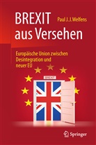 Paul J J Welfens, Paul J. J. Welfens, Paul J.J. Welfens - BREXIT aus Versehen