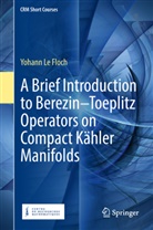 Yohann Le Floch - A Brief Introduction to Berezin-Toeplitz Operators on Compact Kähler Manifolds