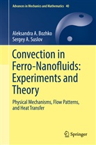 Aleksandra Bozhko, Aleksandra A Bozhko, Aleksandra A. Bozhko, Sergey Suslov, Sergey A Suslov, Sergey A. Suslov - Convection in Ferro-Nanofluids: Experiments and Theory