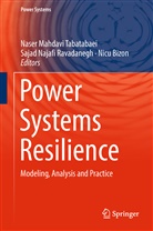 Nicu Bizon, Naser Mahdavi Tabatabaei, Saja Najafi Ravadanegh, Sajad Najafi Ravadanegh - Power Systems Resilience