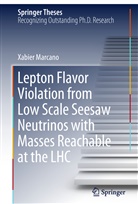 Xabier Marcano - Lepton Flavor Violation from Low Scale Seesaw Neutrinos with Masses Reachable at the LHC