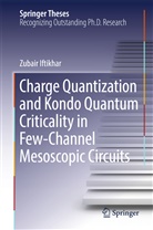 Zubair Iftikhar - Charge Quantization and Kondo Quantum Criticality in Few-Channel Mesoscopic Circuits