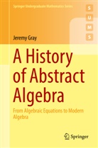 Jeremy Gray - A History of Abstract Algebra