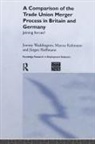 Jurgen Hoffman, Jürgen Hoffman, Jurgen Kahmann Hoffman, Marcus Kahmann, Marcus Waddington Kahmann, Jeremy Waddington - Comparison of the Trade Union Merger Process in Britain and Germany