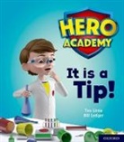 Tim Little, Bill Ledger - Hero Academy: Oxford Level 1+, Pink Book Band: It Is a Tip!