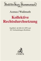 Thoma Asmus, Thomas Asmus, Guido Waßmuth, Thomas Asmus, Martin J Beckmann u a, Guid Wassmuth... - Kollektive Rechtsdurchsetzung; .