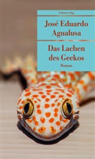 José Eduardo Agualusa - Das Lachen des Geckos