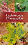 Julia Kruse - Faszinierende Pflanzenpilze