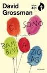 David Grossman - Ci sono bambini a zig-zag