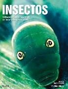 Heiko Bellmann - Insectos