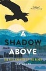Joe Shute - A Shadow Above