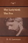 D. H. Lawrence - The Ladybird; The Fox