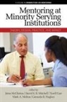 Tyrell Carr, Gerunda B. Hughes, Jeton Mcclinton, Mark A. Melton, David S. B. Mitchell, David S.B. Mitchell - Mentoring at Minority Serving Institutions (MSIs)