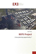 Axel Peiny - BEPS Project