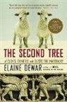Elaine Dewar - The Second Tree