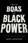 Mark Anderson, Mark David Anderson - From Boas to Black Power