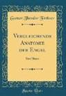 Gustav Theodor Fechner - Vergleichende Anatomie Der Engel: Eine Skizze (Classic Reprint)