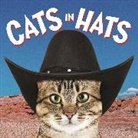 Press Ammonite, Ammonite Press, Ammonite Press - Cats in Hats