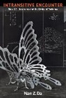 Nan Da - Intransitive Encounter