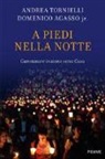 Domenico Jr. Agasso, Andrea Tornielli - A piedi nella notte. Camminare insieme verso casa