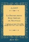 A. Cantel - La Bienheureuse Rose Crétien de Neufville