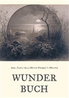 Johann Augus Apel, Johann August Apel, Friedrich de la Motte Fouqué, Friedric Laun, Friedrich Laun, Karl Borromäus von Miltitz... - Wunderbuch - Drei Bände in einem Band