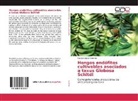 Claudia López Sánchez - Hongos endófitos cultivables asociados a taxus Globosa Schltdl
