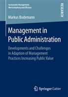 Markus Bodemann - Management in Public Administration