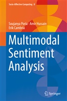 Erik Cambria, Ami Hussain, Amir Hussain, Soujany Poria, Soujanya Poria - Multimodal Sentiment Analysis
