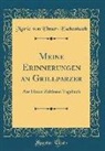 Marie von Ebner-Eschenbach - Meine Erinnerungen an Grillparzer: Aus Einem Zeitlosen Tagebuch (Classic Reprint)
