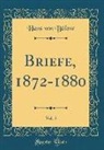 Hans Von Bulow, Hans von Bülow - Briefe, 1872-1880, Vol. 5 (Classic Reprint)