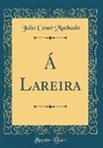 Julio Cesar Machado - Á Lareira (Classic Reprint)