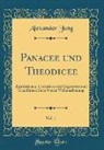 Alexander Jung - Panacee Und Theodicee, Vol. 1: Illustrationen, Caricaturen Der Gegenwart Und Grundlinien Einer Neuen Weltanschauung (Classic Reprint)