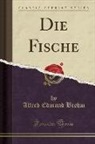 Alfred Edmund Brehm - Die Fische (Classic Reprint)